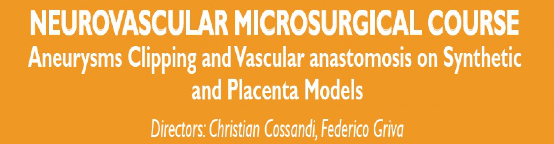 Neurovascular microsurgical course