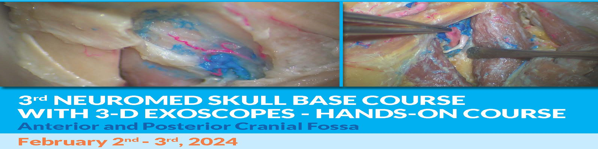 BANNER-3RD-NEUROMED-SKULL-BASE-COURSE-2